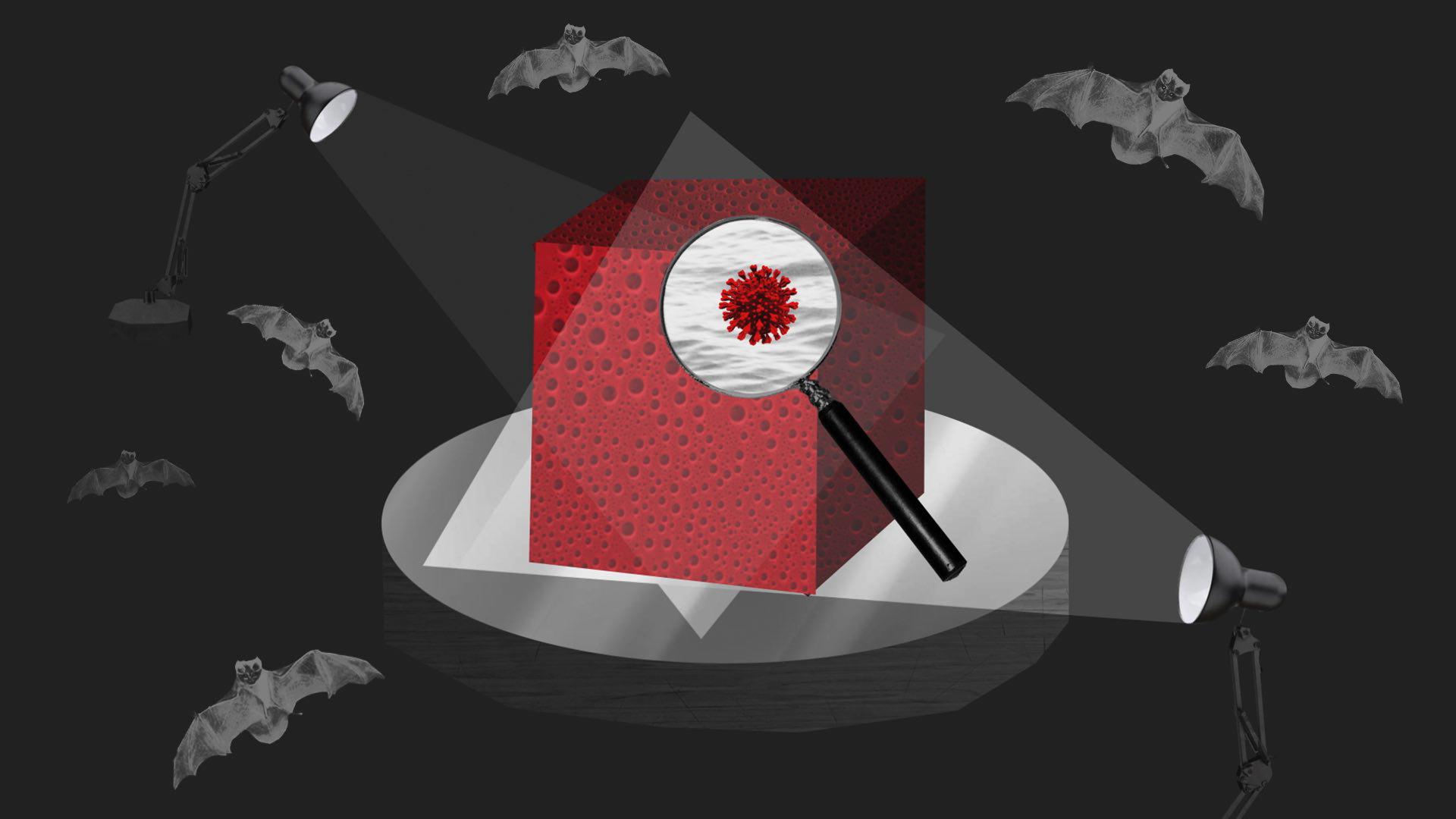 A screenshot image from a New York Times video about Covid.