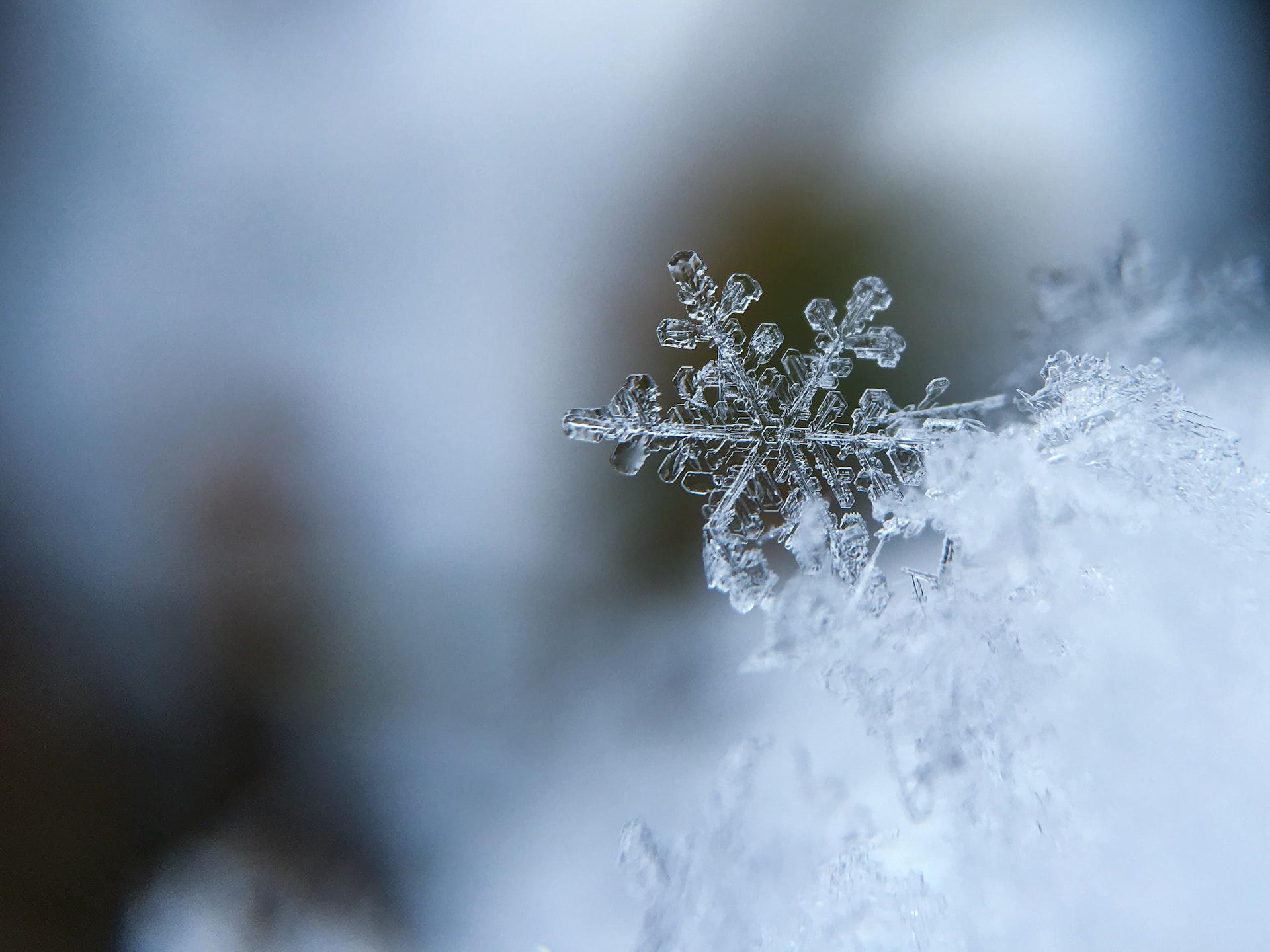 Macro shot of a snowflake, by Aaron Burden, via Unsplash