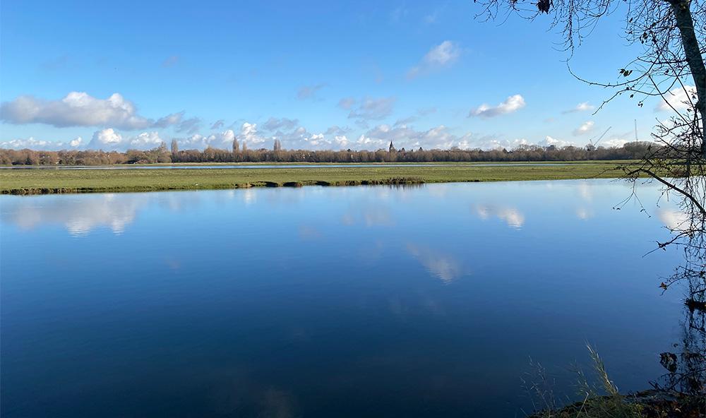 A photograph of Port Meadow in Oxford, England by Adam Westbrook