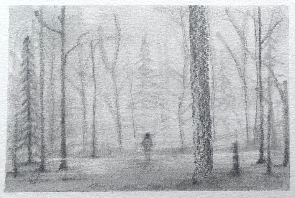 A graphite sketch of a woodland in dense fog, by Adam Westbrook